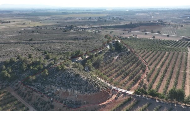 Videresalg - Fritliggende villa -
Gea y Truyols