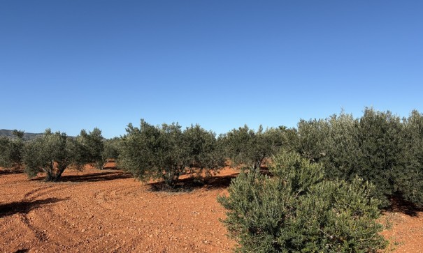 Videresalg - Fritliggende villa -
Cartagena