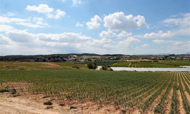 Sale - Detached Villa -
Caravaca de la cruz - Caravaca de la Cruz