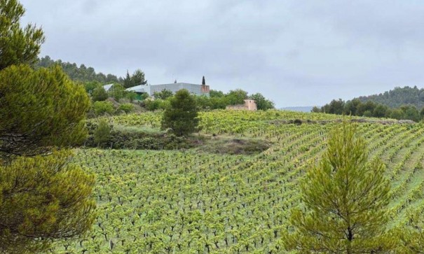 Resale - Finca Landgut -
Bullas