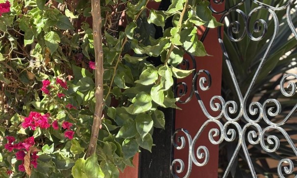 Återförsäljning - Fristående villa -
Altaona Golf and Country Village