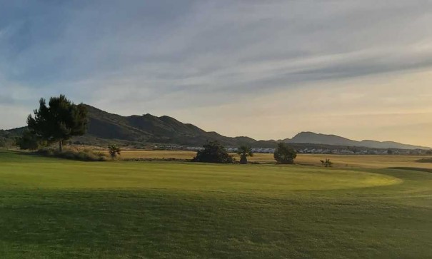 Videresalg - Fritliggende villa -
Altaona Golf and Country Village