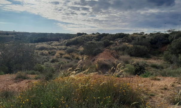 Sale - Detached Villa -
Santa Pola - Gran Alacant