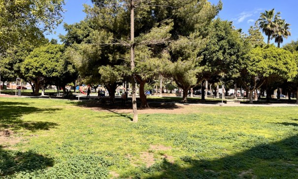 Återförsäljning - Lägenhet lägenhet -
Torrevieja