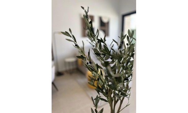 New Build - Apartment Flat -
San Fulgencio - Pueblo