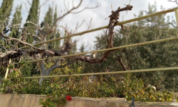 Venta - Chalet Independiente -
Murcia