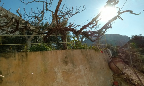 Venta - Chalet Independiente -
Murcia