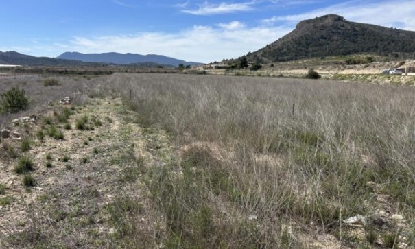 Återförsäljning - Vomt Mark -
La Romana