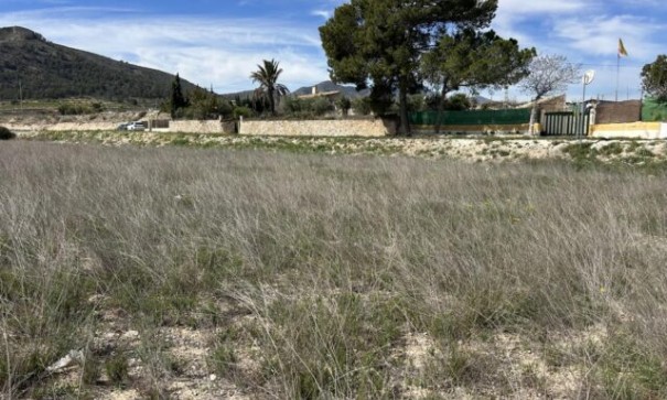 Återförsäljning - Vomt Mark -
La Romana