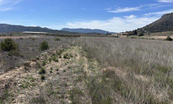 Återförsäljning - Vomt Mark -
La Romana