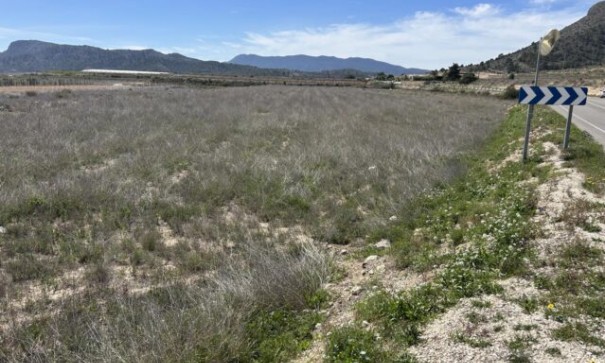 Återförsäljning - Vomt Mark -
La Romana