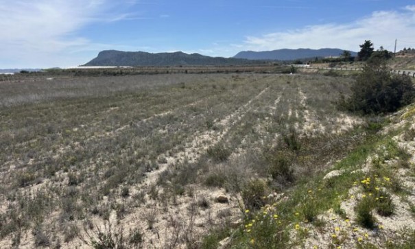 Återförsäljning - Vomt Mark -
La Romana