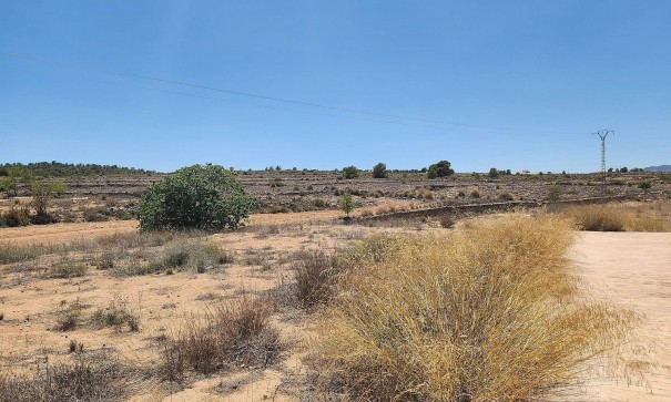 Herverkoop - Vrijstaande Villa -
Pinoso