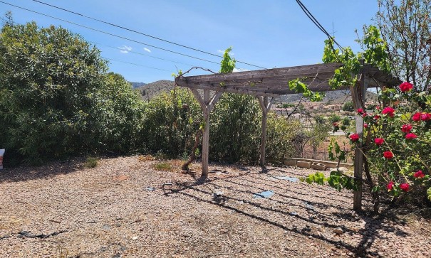 Videresalg - Finca landejendom -
Algueña