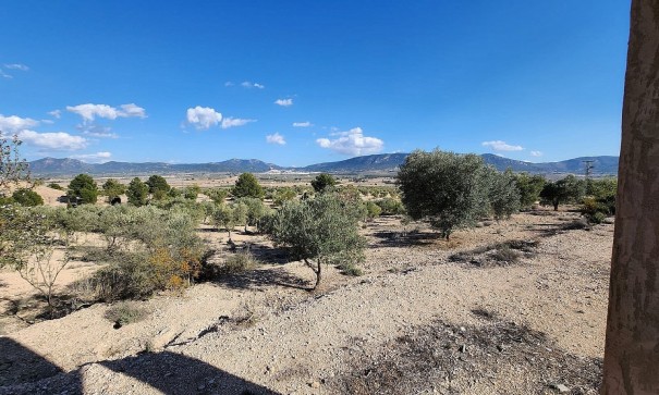 Herverkoop - Finca Landelijk pand -
Villena