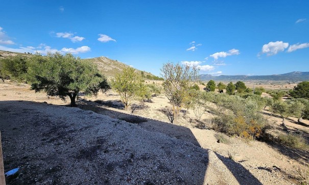 Herverkoop - Finca Landelijk pand -
Villena