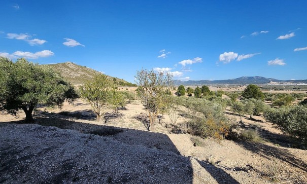 Herverkoop - Finca Landelijk pand -
Villena
