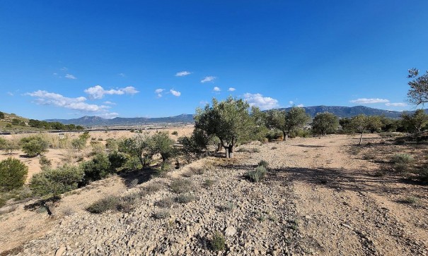 Herverkoop - Finca Landelijk pand -
Villena