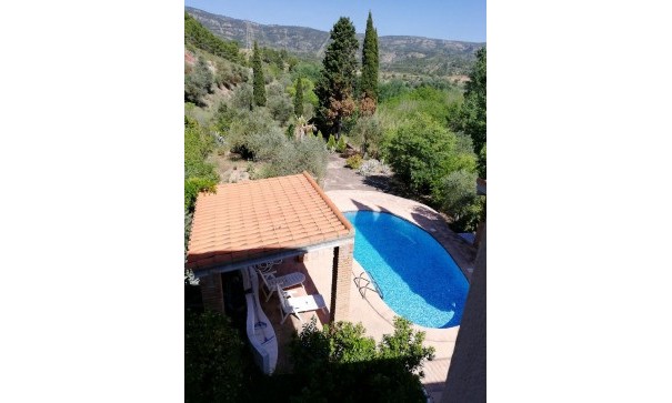 Venta - Finca Propiedad rural -
Jalance