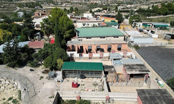 Återförsäljning - Kommersiell -
Fortuna