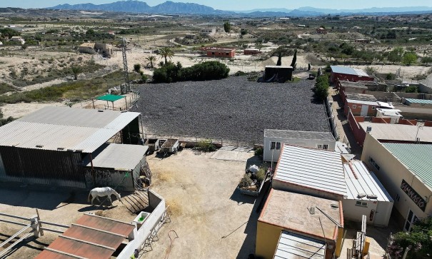 Återförsäljning - Kommersiell -
Fortuna