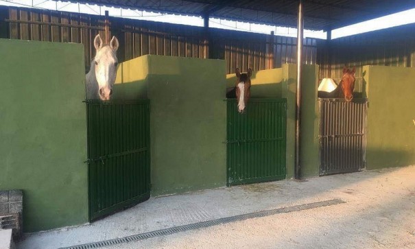 Återförsäljning - Kommersiell -
Fortuna