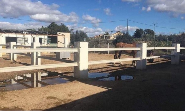 Återförsäljning - Kommersiell -
Fortuna