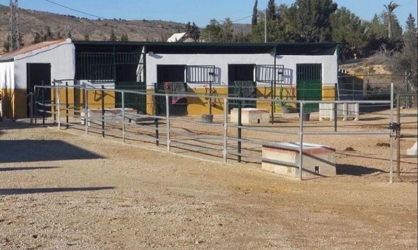 Återförsäljning - Kommersiell -
Fortuna