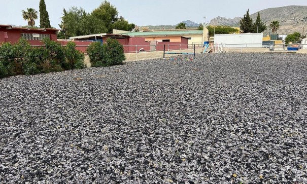 Återförsäljning - Kommersiell -
Fortuna