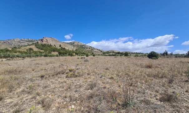 Resale - Grundstück Grundstück -
SAX