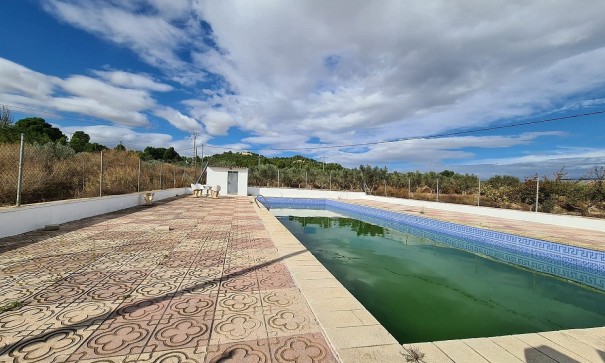 Sprzedaż - Finca nieruchomość wiejska -
SAX