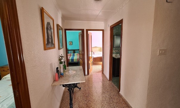 Sprzedaż - Finca nieruchomość wiejska -
SAX