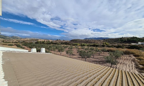 Sprzedaż - Finca nieruchomość wiejska -
SAX