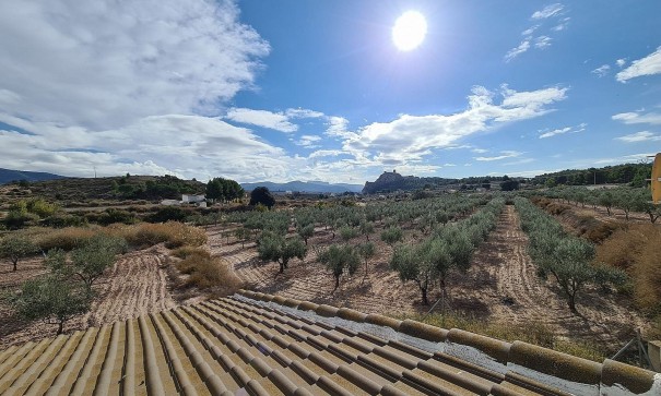 Sprzedaż - Finca nieruchomość wiejska -
SAX