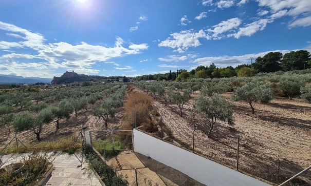 Sprzedaż - Finca nieruchomość wiejska -
SAX