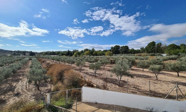 Sprzedaż - Finca nieruchomość wiejska -
SAX