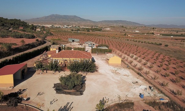 Återförsäljning - Fristående villa -
Pinoso