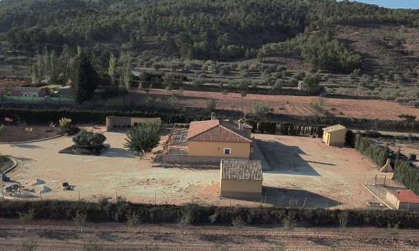 Återförsäljning - Fristående villa -
Pinoso