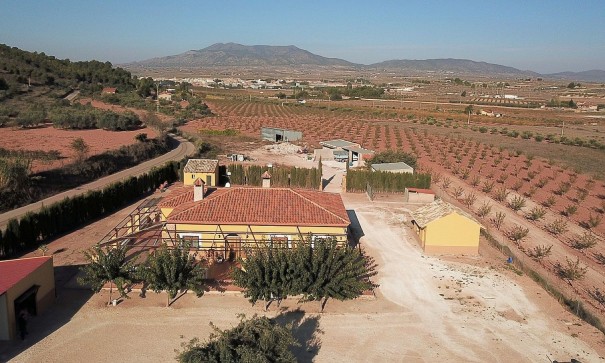 Återförsäljning - Fristående villa -
Pinoso