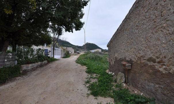 Venta - Finca Propiedad rural -
Jumilla