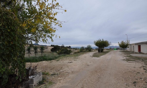 Venta - Finca Propiedad rural -
Jumilla