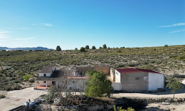 Venta - Finca Propiedad rural -
Caudete