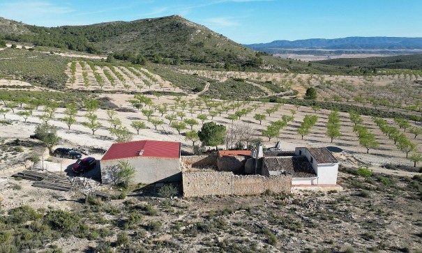 Venta - Finca Propiedad rural -
Caudete