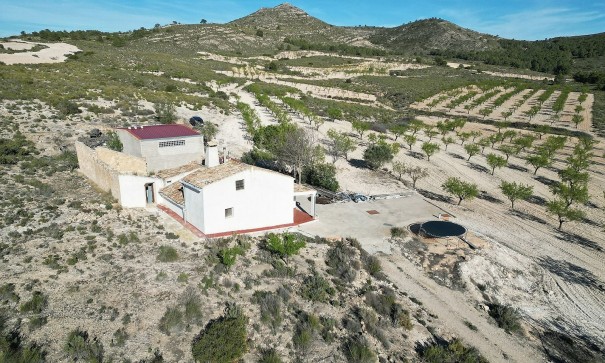 Venta - Finca Propiedad rural -
Caudete