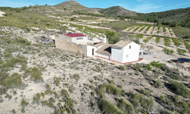 Venta - Finca Propiedad rural -
Caudete