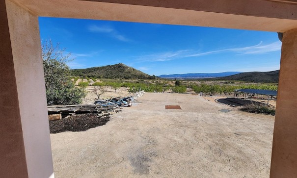 Venta - Finca Propiedad rural -
Caudete