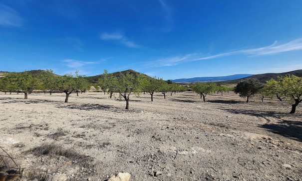 Venta - Finca Propiedad rural -
Caudete