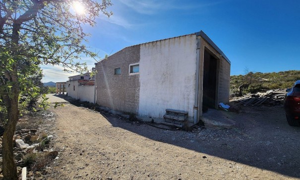Venta - Finca Propiedad rural -
Caudete