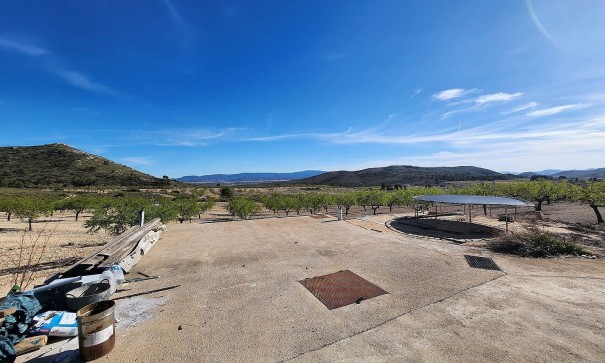 Venta - Finca Propiedad rural -
Caudete