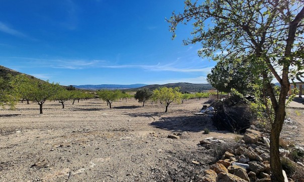 Venta - Finca Propiedad rural -
Caudete